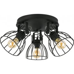 TK Lighting griestu lampa Alano Black 3 цена и информация | Потолочные светильники | 220.lv