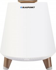 Blaupunkt BT25LAMP, balts цена и информация | Колонки | 220.lv