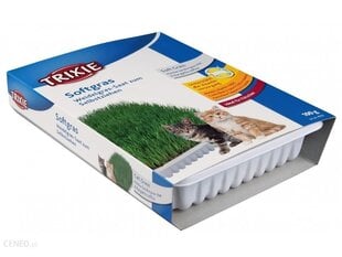 Натуральная трава для кошек Trixie, 100 г цена и информация | Витамины, пищевые добавки для кошек | 220.lv