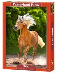 Castorland пазл «Running Haflinger», 500 д. цена и информация | Пазлы | 220.lv