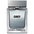 Tualetes ūdens vīriešiem Dolce & Gabbana The One Grey EDT 30 ml