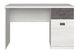 Письменный стол Namur, белый/серый цена и информация | Компьютерные, письменные столы | 220.lv