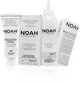 Noturīga matu krāsa Noah 8.0 Light Blond 140 ml cena un informācija | Matu krāsas | 220.lv