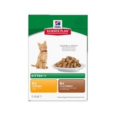 Hill's Science kaķēniem ar vistu un tītaru Plan Kitten Healthy Development Multi Pack, 85 g x 12 gab. цена и информация | Консервы для котов | 220.lv
