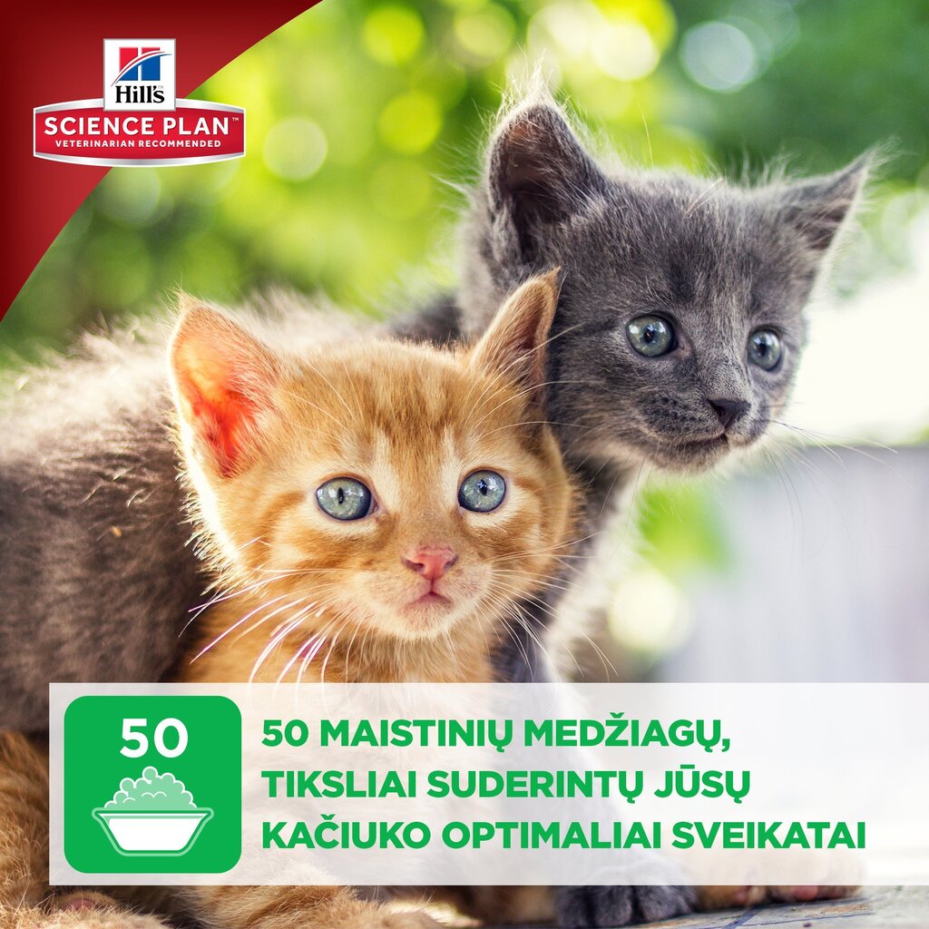 Hill's Science kaķēniem ar vistu un tītaru Plan Kitten Healthy Development Multi Pack, 85 g x 12 gab. cena un informācija | Konservi kaķiem | 220.lv