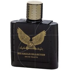 Туалетная вода для мужчин Big Eagle Collection Black, 100 мл цена и информация | Мужские духи | 220.lv