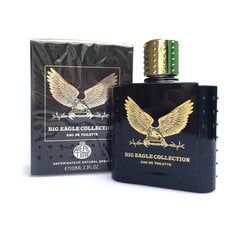 Туалетная вода для мужчин Big Eagle Collection Black, 100 мл цена и информация | Мужские духи | 220.lv