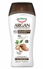 Aizsargājošs šampūns ar argāna eļļu Equilibra Argan Protective 250 ml cena un informācija | Šampūni | 220.lv