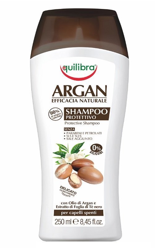 Aizsargājošs šampūns ar argāna eļļu Equilibra Argan Protective 250 ml цена и информация | Šampūni | 220.lv