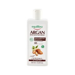 Aizsargājošs šampūns ar argāna eļļu Equilibra Argan Protective 250 ml cena un informācija | Šampūni | 220.lv