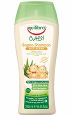 Нежный шампунь-гель для мытья Equilibra Baby Bagno Anti-Lacrima для детей 250 мл цена и информация | Косметика для мам и детей | 220.lv