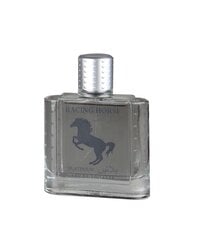 Tualetes ūdens Real Time Racing Horse Platinium EDT vīriešiem 100 ml cena un informācija | Vīriešu smaržas | 220.lv