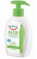 Sejas un roku tīrīšanas līdzeklis ar alvejas ekstraktu Equilibra Aloe Detergente Mani Viso 300 ml цена и информация | Средства для очищения лица | 220.lv