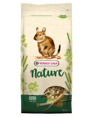 Versele Laga pilnvērtīga barība degu Degu Nature, 0,7 kg цена и информация | Корм для грызунов | 220.lv