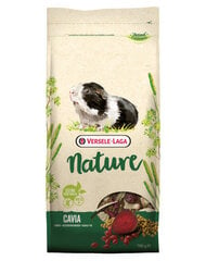 Versele Laga Cavia Nature полноценный корм для морских свинок, 9 кг цена и информация | Корм для грызунов | 220.lv