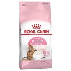 Royal Canin sterilizētiem kaķēniem Kitten sterilised, 3,5 kg цена и информация | Сухой корм для кошек | 220.lv