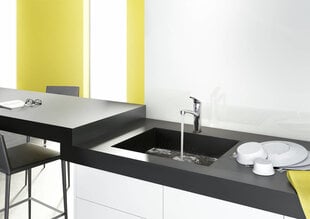 Izlietnes jaucējkrāns Hansgrohe Focus E2, 31806000 цена и информация | Кухонные смесители | 220.lv