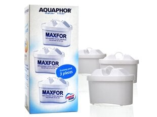 Aquaphor Maxfor B100-25 cena un informācija | Ūdens filtri | 220.lv