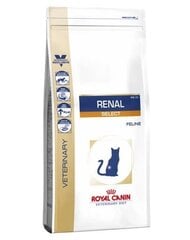 Royal Canin kaķiem ar nieru darbības traucējumiem Cat Renal Select, 4 kg cena un informācija | Sausā barība kaķiem | 220.lv