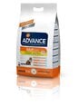 ADVANCE ar vistas gaļu un rīsiem Cat Adult, 3 kg