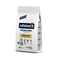 Advance Adult Sensitive (lasis. rīsi) 1.5 kg