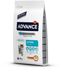 Advance Kitten для котят с курицей и рисом, 10 кг цена и информация | Сухой корм для кошек | 220.lv