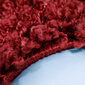 Ayyildiz paklājs LIFE sarkans, 80X150 cm cena un informācija | Paklāji | 220.lv