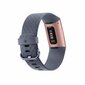 Fitbit Charge 3 pelēkzils / rozā zelts cena un informācija | Fitnesa aproces | 220.lv