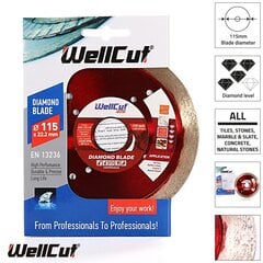 Dimanta disks WellCut Extreme sausai/slapjai griešanai, 115 mm cena un informācija | Rokas instrumenti | 220.lv