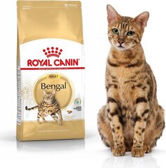 Royal Canin Bengāļu šķirnes kaķiem Bengal Adult, 10 kg cena un informācija | Sausā barība kaķiem | 220.lv