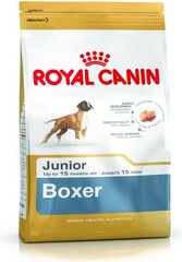 Royal Canin jauniem bokseru šķirnes suņiem Boxer Junior 12 kg cena un informācija | Sausā barība suņiem | 220.lv