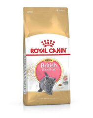 Royal Canin для пород котят Британские короткошерстные,10 кг цена и информация | Сухой корм для кошек | 220.lv