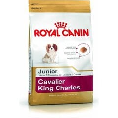 Royal Canin для собак породы спаниель Cavalier King Charles Junior, 1,5 кг цена и информация | Сухой корм для собак | 220.lv