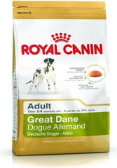 Royal Canin dogu šķirnes kucēniem Great Dane, 12 kg cena un informācija | Sausā barība suņiem | 220.lv