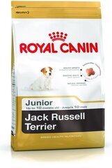 Royal Canin Džeka Rasela terjera šķirnes kucēniem, 3 kg cena un informācija | Sausā barība suņiem | 220.lv