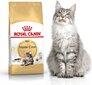 ROYAL CANIN FBN 10KG MAINE COON KAĶIEM цена и информация | Sausā barība kaķiem | 220.lv