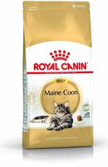 Royal Canin для породы кошек Мейн Кун, 4 кг цена и информация | Сухой корм для кошек | 220.lv