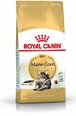 Royal Canin Meinkūna šķirnes kaķiem, 4 kg