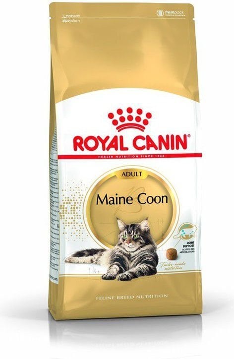 Royal Canin Meinkūna šķirnes kaķiem, 4 kg cena un informācija | Sausā barība kaķiem | 220.lv