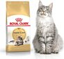 Royal Canin Meinkūna šķirnes kaķiem, 4 kg cena un informācija | Sausā barība kaķiem | 220.lv