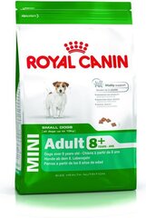 Royal Canin mazo šķirņu senioriem Mini Adult 8, 2 +, 0,8 kg cena un informācija | Sausā barība suņiem | 220.lv