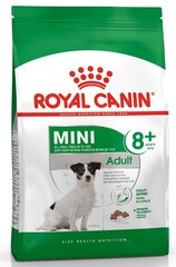 Royal Canin mazo šķirņu suņu senioriem Mini Adult +8, 8 kg cena un informācija | Sausā barība suņiem | 220.lv