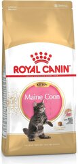 Royal Canin корм для породы котят Мейн Кун, 10 кг цена и информация | Сухой корм для кошек | 220.lv