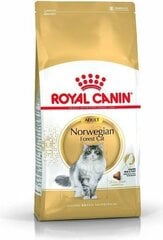 Royal Canin корм для породы Норвежская лесная кошка Norvegian, 2 кг цена и информация | Сухой корм для кошек | 220.lv