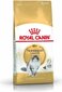 Royal Canin barība Norvēģijas meža kaķiem Norvegian, 2 kg cena un informācija | Sausā barība kaķiem | 220.lv