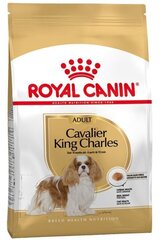 Royal Canin Cavalier king Čārlza šķirnes suņiem Adult, 1,5 kg cena un informācija | Sausā barība suņiem | 220.lv