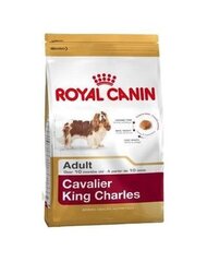 Royal Canin Cavalier king Čārlza šķirnes suņiem Adult, 1,5 kg cena un informācija | Sausā barība suņiem | 220.lv