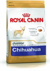 Royal Canin čivavas šķirnes suņiem Junior, 0,5 kg cena un informācija | Sausā barība suņiem | 220.lv