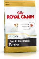 Royal Canin Džeka Rasela terjera šķirnes suņiem Junior, 1,5 kg cena un informācija | Sausā barība suņiem | 220.lv