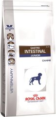 Royal Canin для лучшего пищеварения Dog gastro intestinal junior, 10 кг цена и информация |  Сухой корм для собак | 220.lv